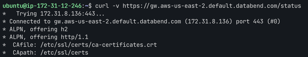 Verify DNS